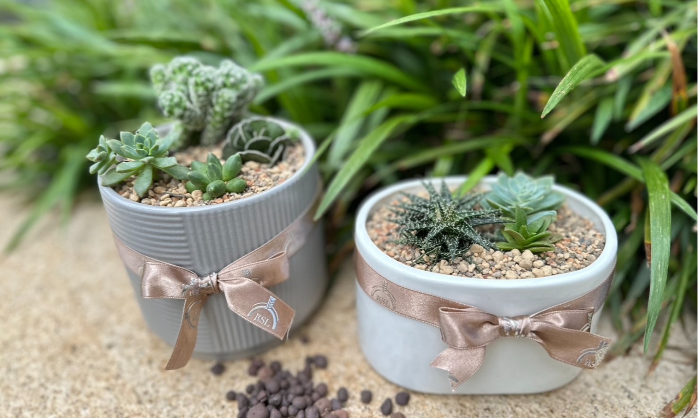 【秋冬活動】多肉植藝工作坊（10/1-12/30）